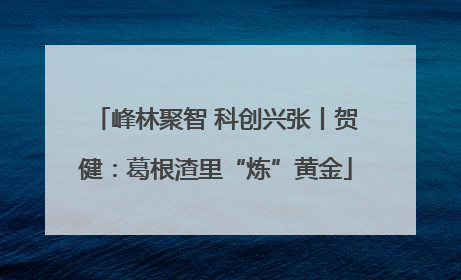 峰林聚智 科创兴张丨贺健：葛根渣里“炼”黄金