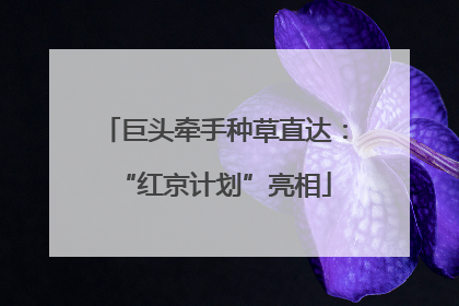 巨头牵手种草直达：“红京计划”亮相