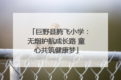 巨野县腾飞小学：无烟护航成长路 童心共筑健康梦