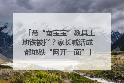 带“蚕宝宝”教具上地铁被拦？家长喊话成都地铁“网开一面”