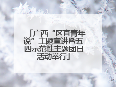 广西“区直青年说”主题宣讲暨五四示范性主题团日活动举行
