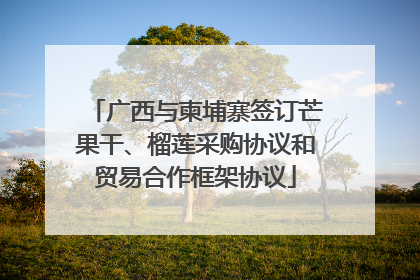 广西与柬埔寨签订芒果干、榴莲采购协议和贸易合作框架协议
