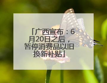 广西宣布：6月20日之后，暂停消费品以旧换新补贴