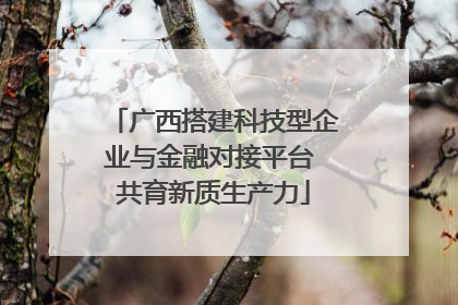 广西搭建科技型企业与金融对接平台 共育新质生产力