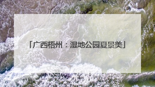 广西梧州：湿地公园夏景美