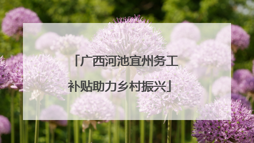广西河池宜州务工补贴助力乡村振兴