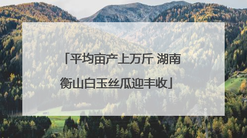平均亩产上万斤 湖南衡山白玉丝瓜迎丰收
