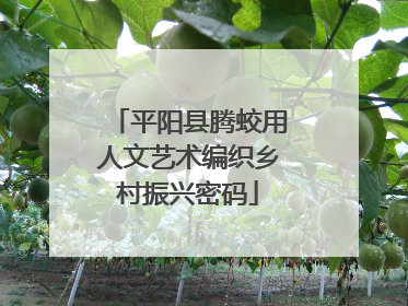 平阳县腾蛟用人文艺术编织乡村振兴密码