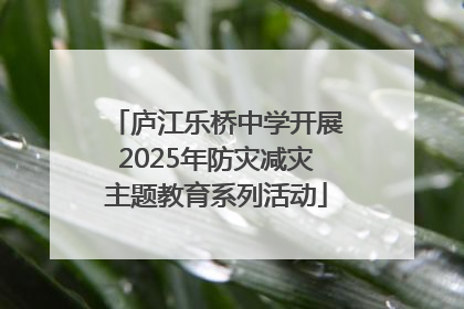 庐江乐桥中学开展2025年防灾减灾主题教育系列活动