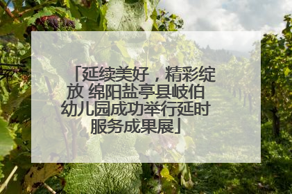 延续美好，精彩绽放 绵阳盐亭县岐伯幼儿园成功举行延时服务成果展