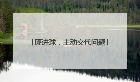 廖进球，主动交代问题