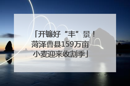开镰好“丰”景！菏泽曹县159万亩小麦迎来收割季