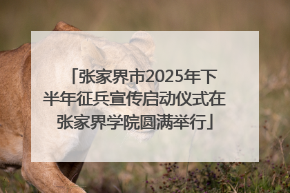 张家界市2025年下半年征兵宣传启动仪式在张家界学院圆满举行