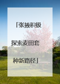 张掖积极探索麦田套种新路径