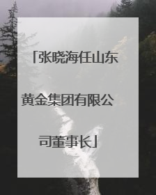 张晓海任山东黄金集团有限公司董事长