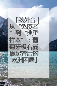 弦外音｜从“免疫者”到“典型样本”：葡萄牙极右翼崛起背后的欧洲困局