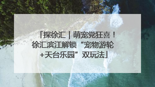 探徐汇｜萌宠党狂喜！徐汇滨江解锁“宠物游轮+天台乐园”双玩法