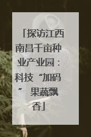 探访江西南昌千亩种业产业园：科技“加码” 果蔬飘香