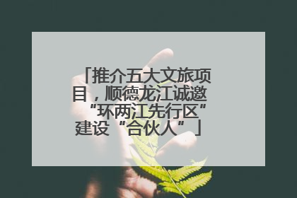 推介五大文旅项目，顺德龙江诚邀“环两江先行区”建设“合伙人”