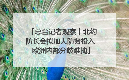 总台记者观察丨北约防长会拟加大防务投入 欧洲内部分歧难掩