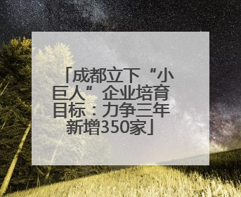 成都立下“小巨人”企业培育目标：力争三年新增350家
