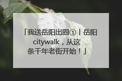 我送岳阳出圈①丨岳阳citywalk，从这条千年老街开始！