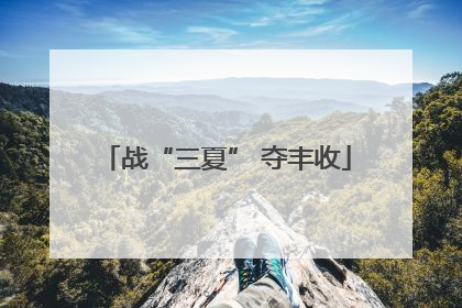 战“三夏” 夺丰收