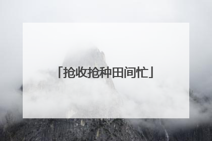 抢收抢种田间忙