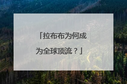拉布布为何成为全球顶流？