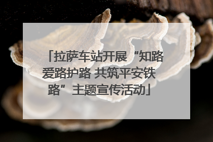 拉萨车站开展“知路爱路护路 共筑平安铁路”主题宣传活动