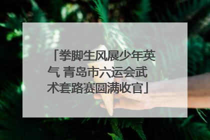 拳脚生风展少年英气 青岛市六运会武术套路赛圆满收官
