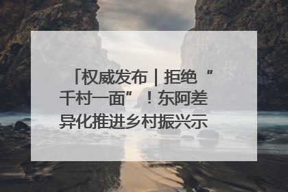 权威发布｜拒绝“千村一面”！东阿差异化推进乡村振兴示范片区建设