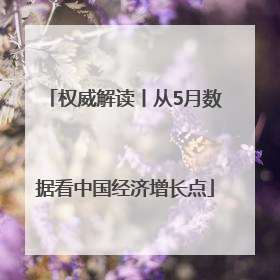 权威解读丨从5月数据看中国经济增长点