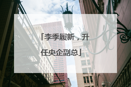 李季履新，升任央企副总