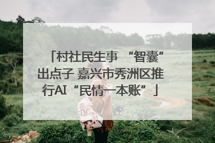 村社民生事 “智囊”出点子 嘉兴市秀洲区推行AI“民情一本账”