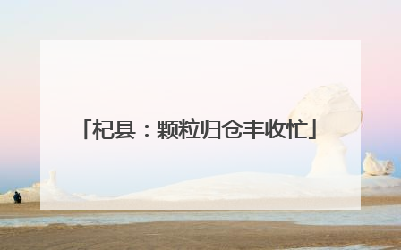 杞县：颗粒归仓丰收忙