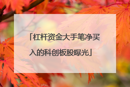 杠杆资金大手笔净买入的科创板股曝光