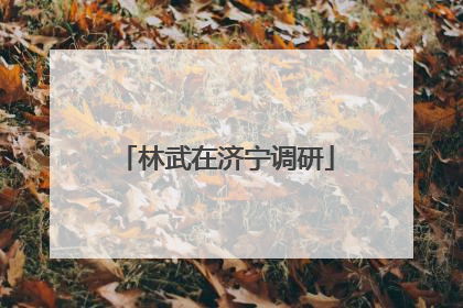 林武在济宁调研