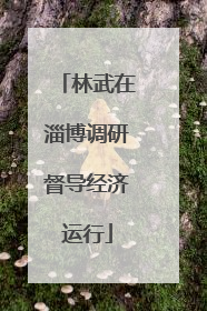 林武在淄博调研督导经济运行