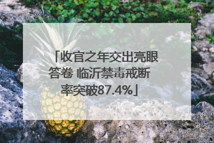 收官之年交出亮眼答卷 临沂禁毒戒断率突破87.4%