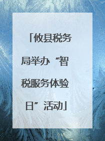 攸县税务局举办“智税服务体验日”活动