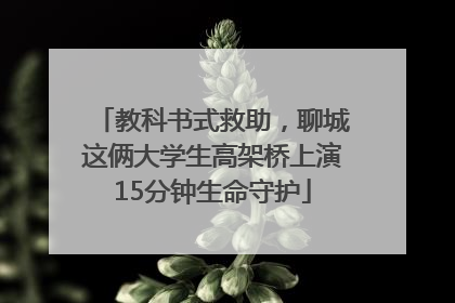 教科书式救助，聊城这俩大学生高架桥上演15分钟生命守护