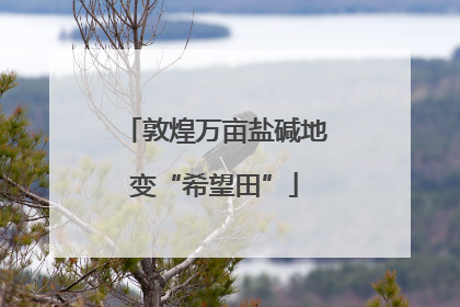 敦煌万亩盐碱地变“希望田”