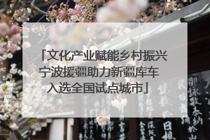 文化产业赋能乡村振兴 宁波援疆助力新疆库车入选全国试点城市