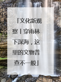 文化新观察丨穿雨林下深海，这里的文物普查不一般