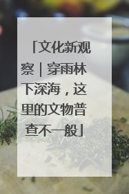 文化新观察｜穿雨林下深海，这里的文物普查不一般