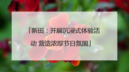 新田：开展沉浸式体验活动 营造浓厚节日氛围