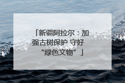 新疆阿拉尔：加强古树保护 守好“绿色文物”