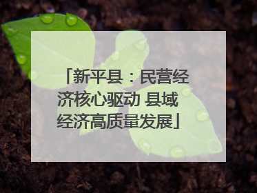 新平县：民营经济核心驱动 县域经济高质量发展