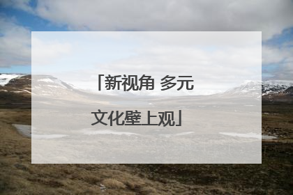 新视角 多元文化壁上观